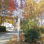 うどん匠人 岡本 - 