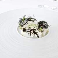 L'ORANGERIE - 