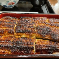 うなぎ家 しば福や - 肉厚の鰻がお重いっぱいに⁽⁽ଘ( ˊᵕˋ )ଓ⁾⁾
