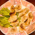 Grilled Gyoza / Dumpling (10 pieces)