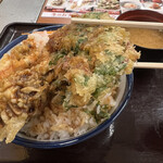 Tendon Tenya - 