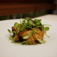 TACUBO - 