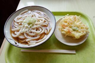 Yamasa Seimen - かけうどん並、やさいかき揚げ