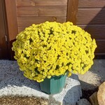 ベーカリーツキヨシ - 