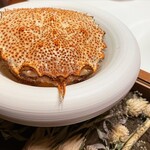 ラチュレ - 毛蟹？？