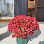 ベーカリーツキヨシ - 