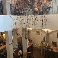 VELVET VIRGO -  VELVET VIRGO -