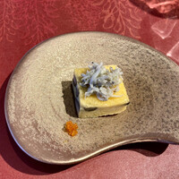 GLICINE di ACQUA PAZZA - 