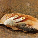 六本木 すし巽 - 