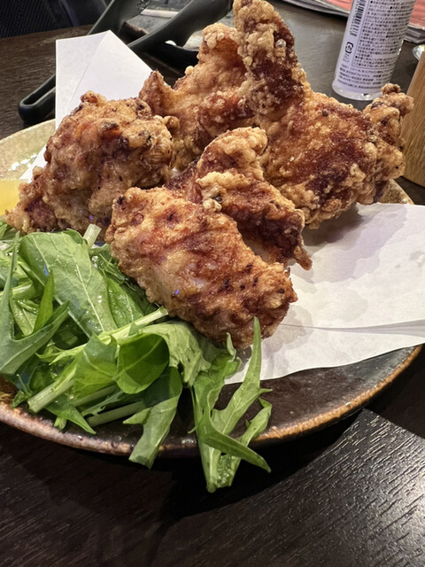 Tori Sakaba Chobitto photo 2