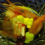 Akitaya 草庵 - お造り：関イサキ、カマス、甘海老