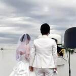 ロイヤルウイング - 