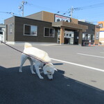 田村屋 - 忠犬､駐車場にて･･･。