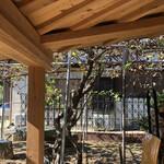 Village SEDO - たわわに実るキウイ