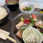 マルカツ - 今日の¥1,000のお刺身定食　カツオ（炙り）、真鯛、スミイカ、ホタテ、釣あじ、しらす、タラコ、赤身、のどぐろ