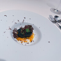 Terres de Truffes, Tokyo - 