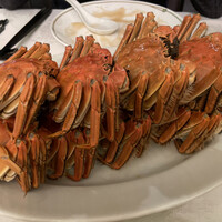 潮夢来 - 