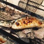 うまいもの処 暁 - 