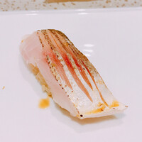 鮨まつもと - ひげだい