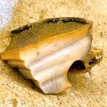 鮨おばな - 宮城産の蝦夷鮑。デカい！