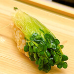 鮨おばな - カイワレ大根の昆布締め
