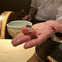 鮨 光史郎 - 