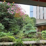 日本料理「雲海」 - 