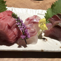 炭焼 うな富士 有楽町店 - 刺身3種盛り3000円