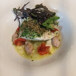 カシュ カシュ - 