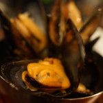 バール エ ターヴォラ カルダ ラ・ジョストラ - 活ムール貝白ワイン蒸し