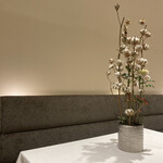 Wakana ～和奏～ - 