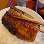 Kou - 食べ切れないと、鰻が半分回って来ました