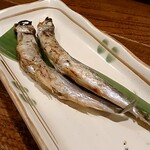 九州料理 マルキュウ - 
