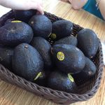 MUCHO MODERN MEXICANO - 