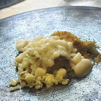 クイントカント - 