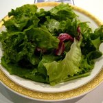 ＴＨＥ ＯＲＣＨＡＲＤ - ('09/07)サラダ