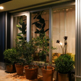 ラ ヴィオレッタ_1