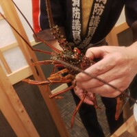すっぽん ふぐ 日本料理 新宿あぐら屋 - 