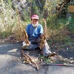 山の仙人 淳  - 自然薯掘りの成果