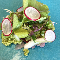 eos - 岩手ワラサ、セロリ、ダブレ