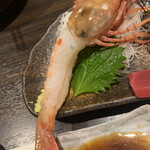 Robata Omoto - 