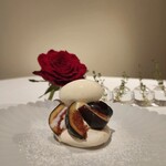 イル コラッツィエーレ - 