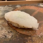 鮨桂太 - アオリイカ