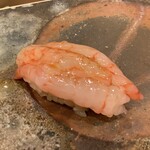 鮨桂太 - 甘エビ