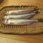 鮨 大門 - 北海道　生シシャモ