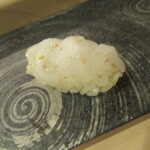 鮨 大門 - あおりいか