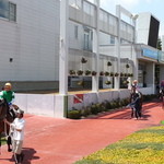 元祖ジャンボ焼き鳥 鳥喜 - 