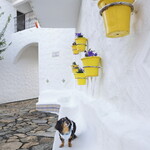 志摩地中海村 - アンダルシアゾーン