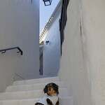 志摩地中海村 - ミコノルカゾーン