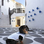 志摩地中海村 - ミコノルカゾーン